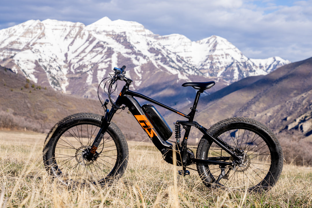 What's a Dual Battery eBike?