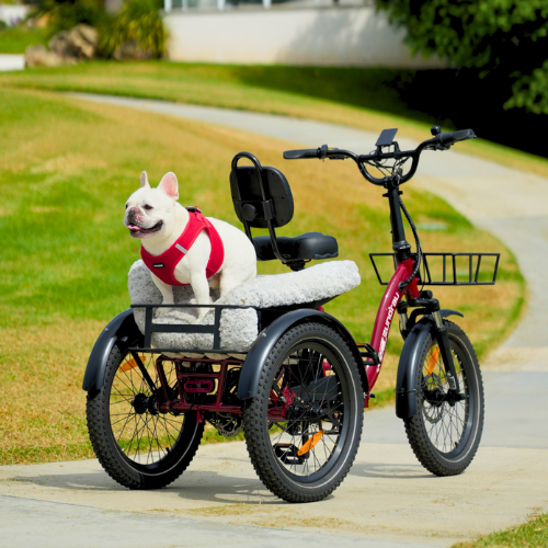 Trikes & Stability