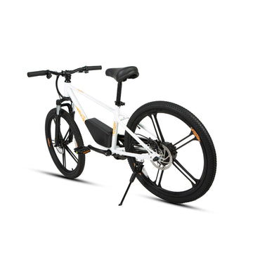 Are Adult E-Bikes Just Bigger Than Kids E-Bikes?