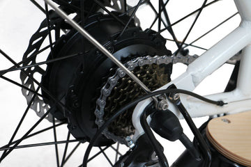 Electric Bike Trailers: Single Wheel vs Two Wheel for Cargo and Hunting