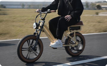 Step Through Electric Bikes