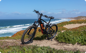 Electric Mountain Bikes
