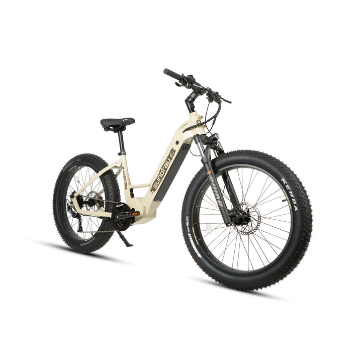 EUNORAU FAT-HD 2.0 fat tire e-bike