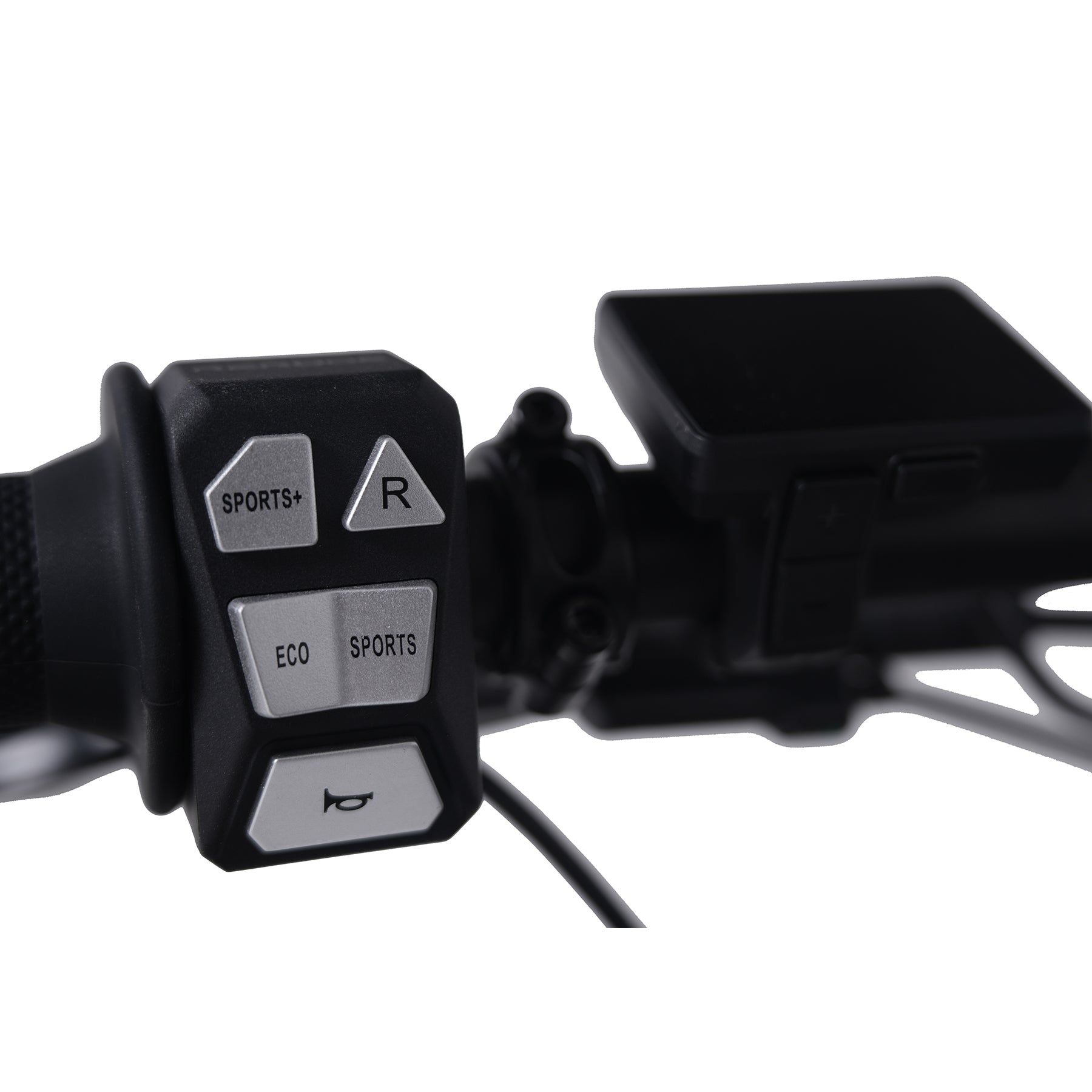 R1+ removable battery