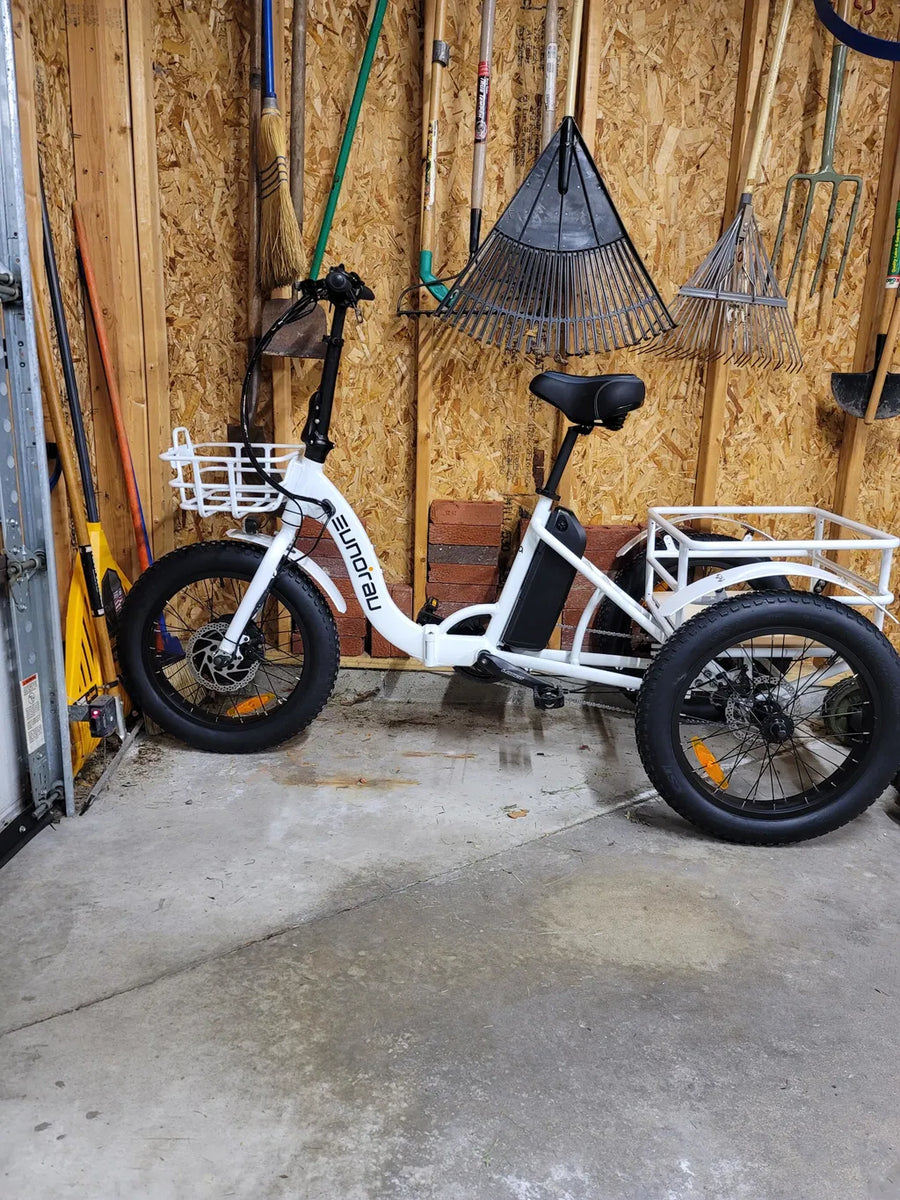 Danyelle Hobson -NEW-TRIKE