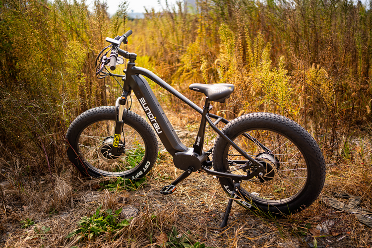 FAT-AWD 2.0 All Wheel Drive Fat Tire Ebike