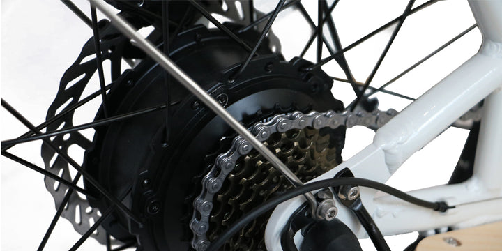 EUNORAU MAX-CARGO rear hub motor