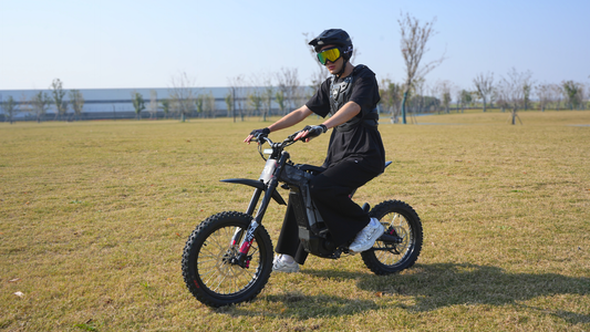 R1 Lite