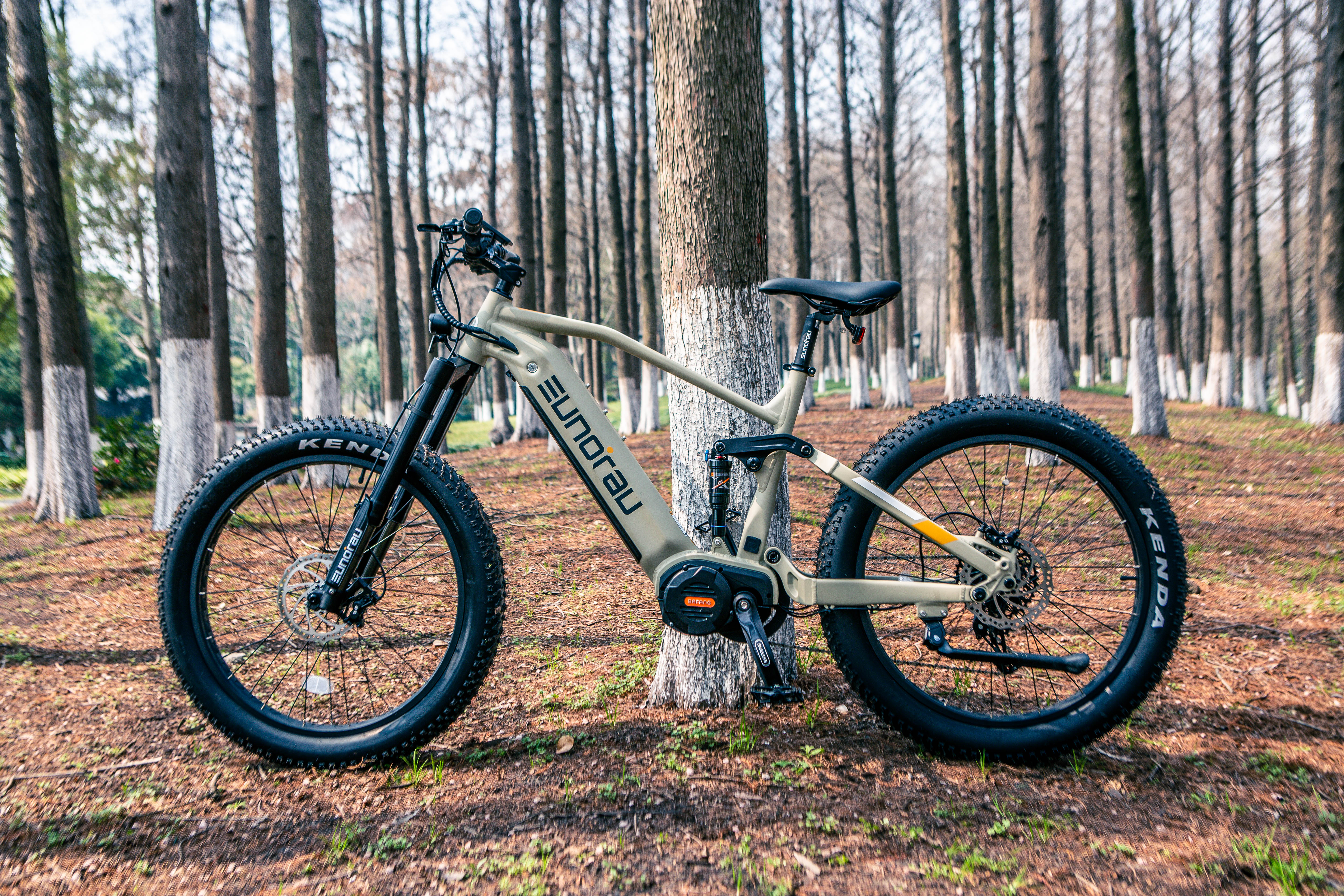SPECTER-S 3.0 / HUNTER X9 Hunting Fat Tire Bike