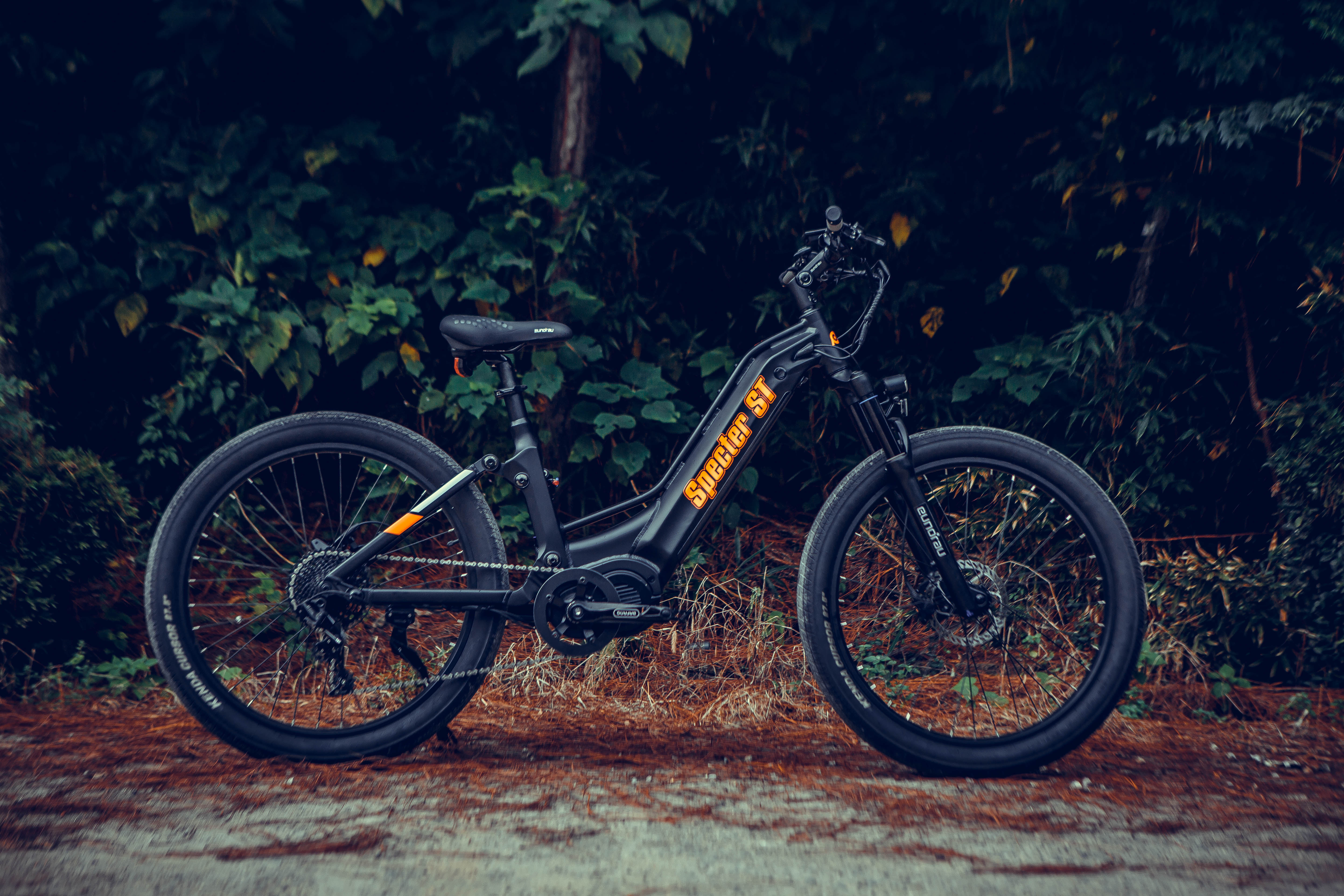 fahrrad esper e bike SPECTER-ST 2.0 Mid Drive Ebike 1000W Full Suspension Step-Through