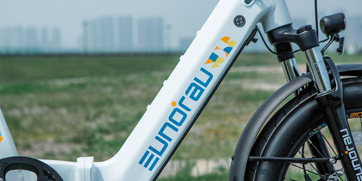 EUNORAU META dual battery