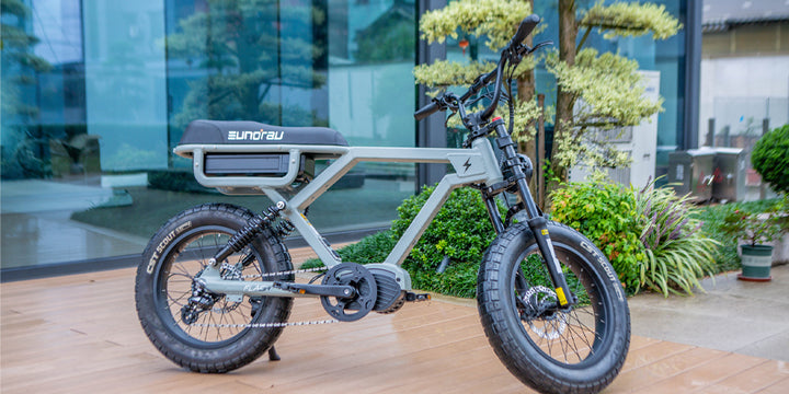 EUNORAU Flash triple battery long range e-bike