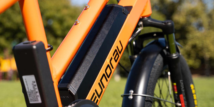 EUNORAU G30-CARGO removable battery